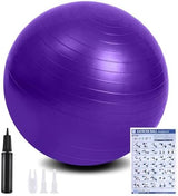 flintronic Exercise Ball, Anti-brust Yoga Ball Fitness Ball, 55 to 65cm Extra Thick Swiss Ball with Hand Pump for Yoga, Pilates, Fitness.