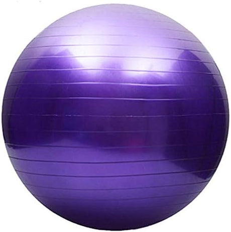 Fortitude Sports Exercise Ball With Pump | Yoga Swiss Ball For Fitness, Pilates, Home and Gym | Anti Burst, Anti Slip Balance Ball in 55, 65, 75cm Sizes.