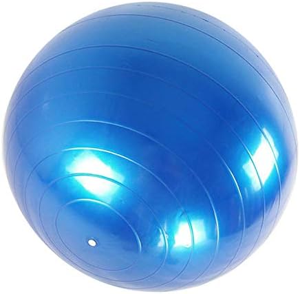 Fortitude Sports Exercise Ball With Pump | Yoga Swiss Ball For Fitness, Pilates, Home and Gym | Anti Burst, Anti Slip Balance Ball in 55, 65, 75cm Sizes.