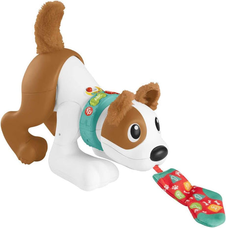 Fisher-Price 123 Crawl With Me Puppy, electronic dog infant crawling toy with music and Smart Stages learning content for infants and toddlers.