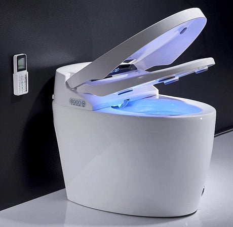 Luxury High-Tech Japanese Style Smart Toilet & Bidet.