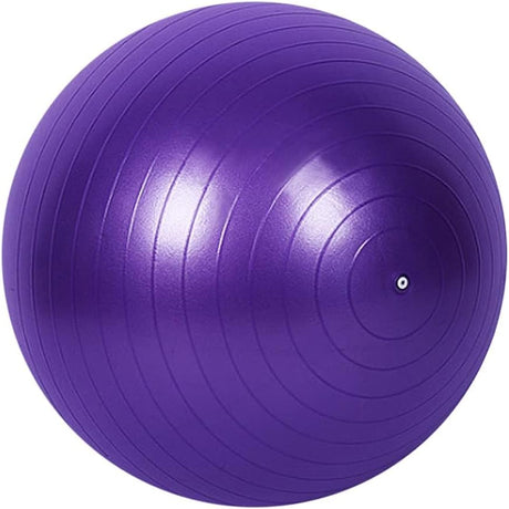 Xiedeai 65cm Exercise Ball with Hand Pump Anti-Slip Yoga Ball Anti-Burst Balance Balls Fitness Accessories for Pilates, Physical Therapy, Pregnancy, Core Training.