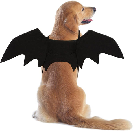 RANYPET Dog Bat Costume - Halloween Pet Costume Bat Wings Cosplay Dog Costume Cat Costume for Party L.