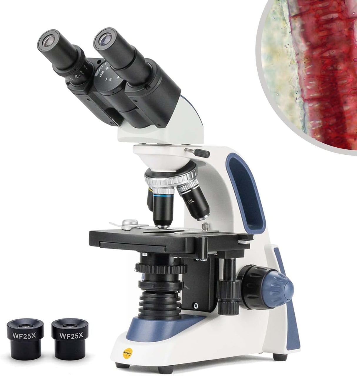 SWIFT SW380B Professional Binocular Compound Microscope,40X-2500X,Siedentopf Head,Brightfield, LED Illumination, Abbe Condenser, Double-Layer Mechanical Stage.