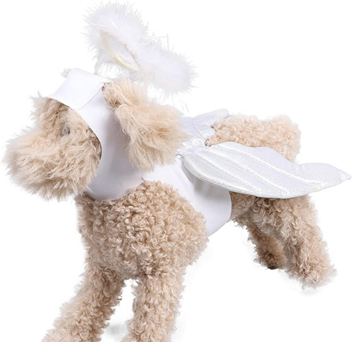 Pet Wings Costume | Dog Fairy Wing - Halloween Pet Costume Set, Lightweight Dog Fairy Wings, Dog Costume Set, Cats For Small Medium Pet Dogs.