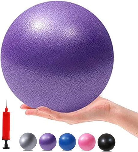 XIECCX Mini Yoga Balls 6 Inch Exercise Pilates Therapy Balance Bender Ball Barre Equipment for Home Stability Squishy Training with Pump.