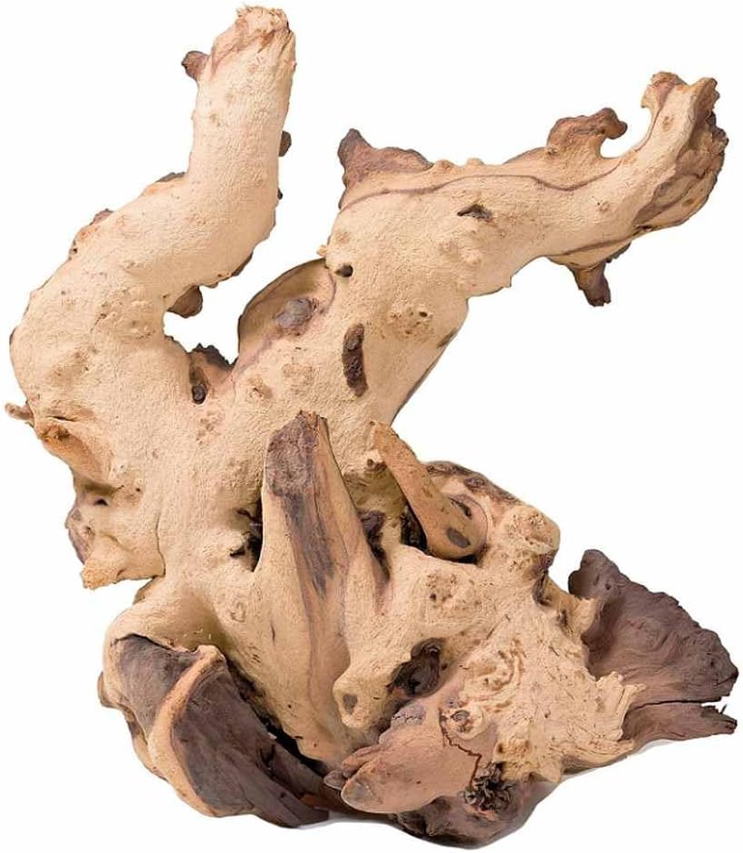 Biotope Aquatics Ltd Aquarium Sinkable Mopani Driftwood - Various Sizes - Natural Bogwood Fish Tank Wood Decoration Landcaping Java Fern or Moss (23-35cm)