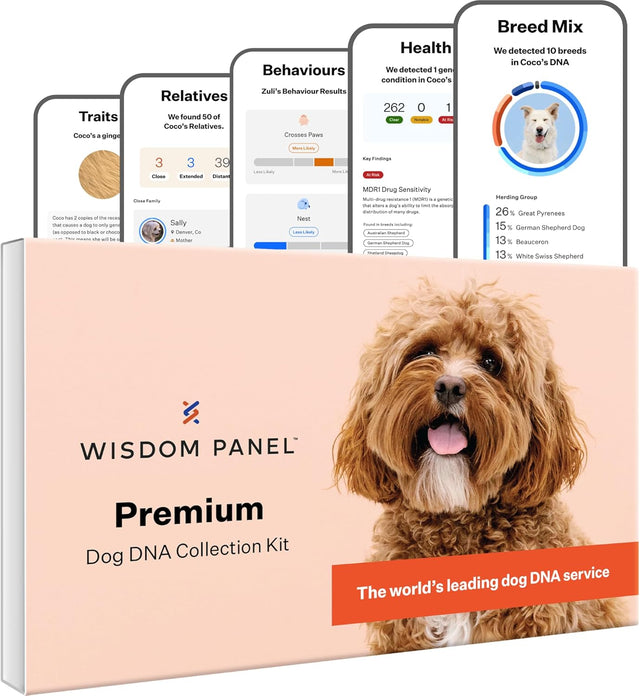 Wisdom Panel Premium: Most Comprehensive Dog DNA Test for 260+ Health Tests | Accurate Breed ID and Ancestry | Traits | Relatives | Behaviours | Vet Consult.