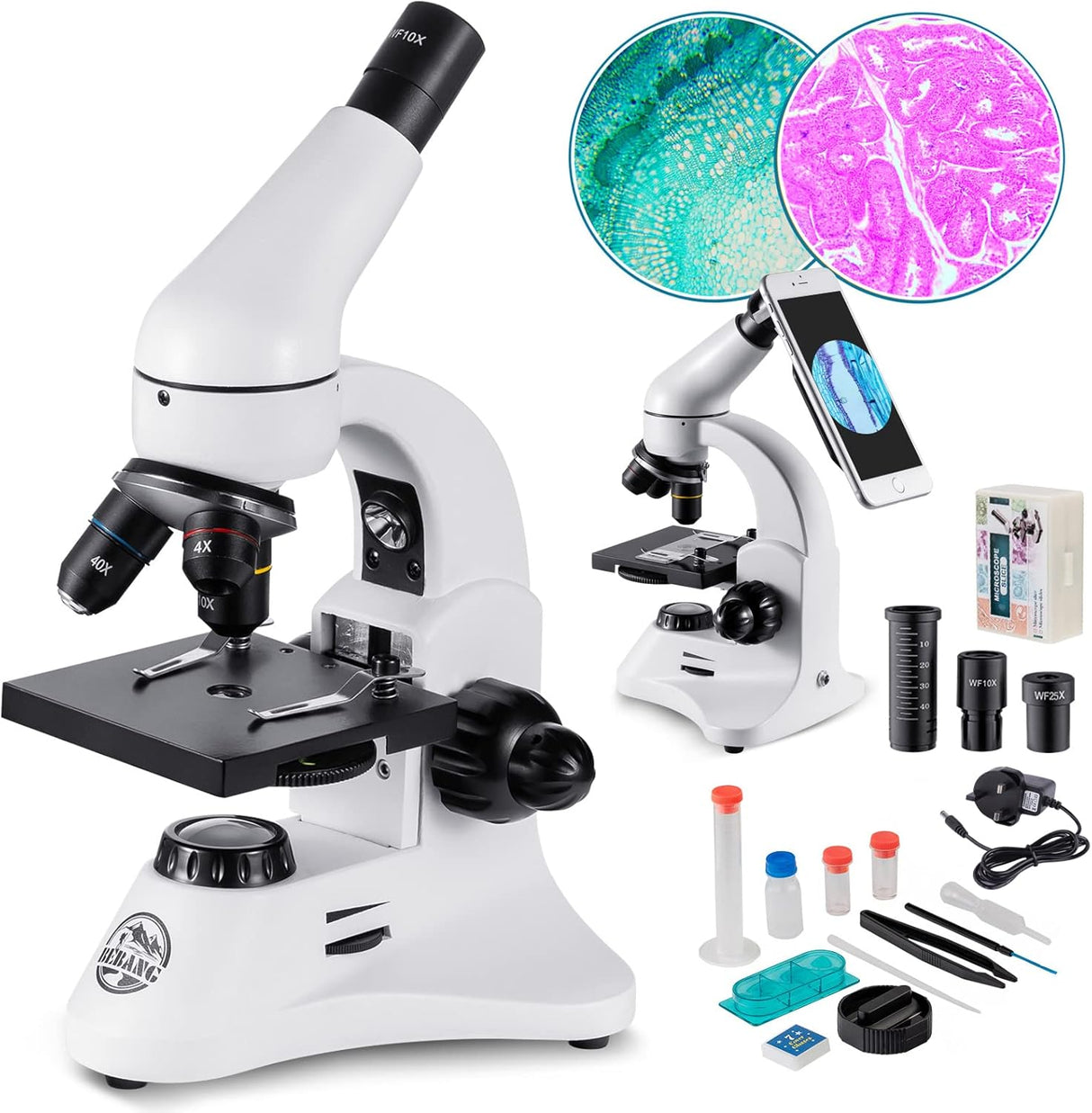 Microscope, 2000X Metal Optical Microscope for Adults Kids Students with Slides Kit Pro Biological Microscopes School Home Education Tool.