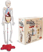 DOKTOR FUN - The Human Body - Educational Toy - Scientists - 120 cm-Skeleton - Ages 8 and Up - 72 pieces - Human Anatomy for Children - Easy to Assemble - Includes Illustrated Assembly Guide.