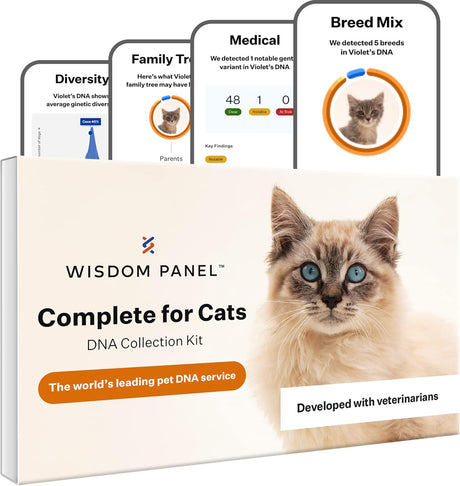 Wisdom Panel Complete: Comprehensive Cat DNA Test for 45 Health Genetic Health Conditions | 70+ Breeds and populations | 25+ Traits | Blood Type.