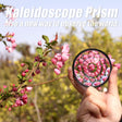 Docooler Kaleidoscope Prism Camera Glass Filter Variable Number of Subjects SLR Photography Accessories 77 mm.