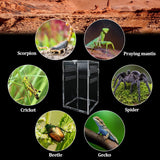 yingd Terrarium Kit, Reptile Breeding Box, Stick Insect Enclosure, Tarantula Enclosure, Transparent Reptile Feeding Box for Spide, Lizard, Scorpion, Mantis, Geckos, Beetle, Crickets (12x12x20cm)