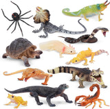 toymany 12PCS Reptile Animal Figurine Toy Set，Cold Blooded Amphibians Jungle Animal Figures Set with Dragon Lizard Snake Chameleon Halloween Birthday Gift Party Favor School Project for Kids Toddlers