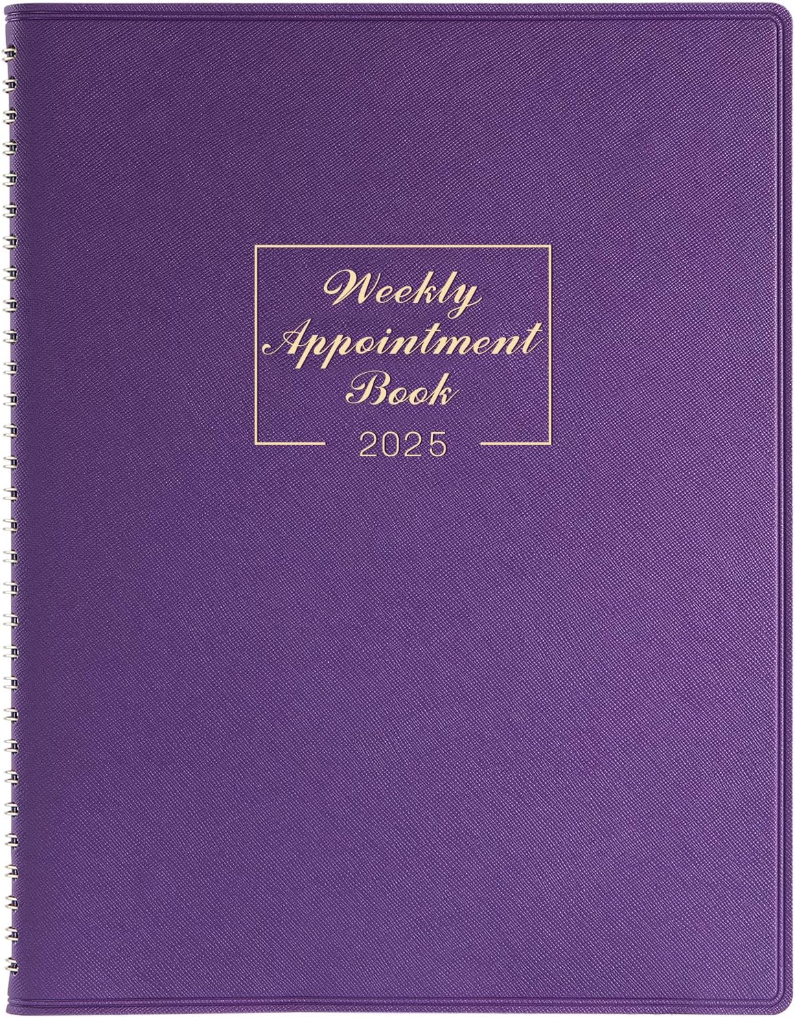 Appointment Book 2025 - January 2025 to December 2025 with Times, Appointment Diary 2025 A4 Week to View Hourly Planner in 15 Minutes, 21.8 x 29 cm, Soft Leather Cover, Purple.